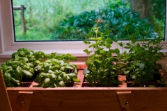 interieurfotografie-netwerklocatie-stayok-8347