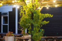 netwerken-eventfotografie8561