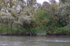 varen-netwerken-eventfotografie8487