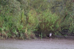 varen-netwerken-eventfotografie8502